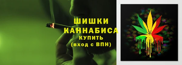 тгк Краснослободск