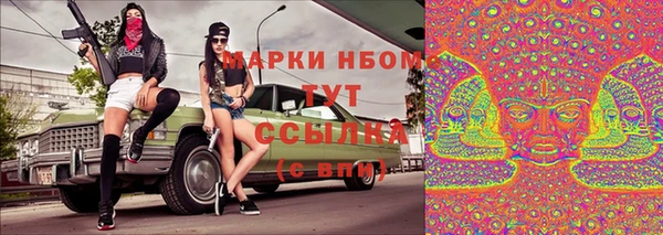 тгк Краснослободск