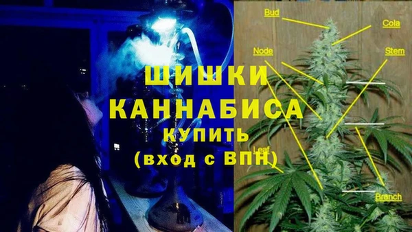 PSILOCYBIN Кулебаки