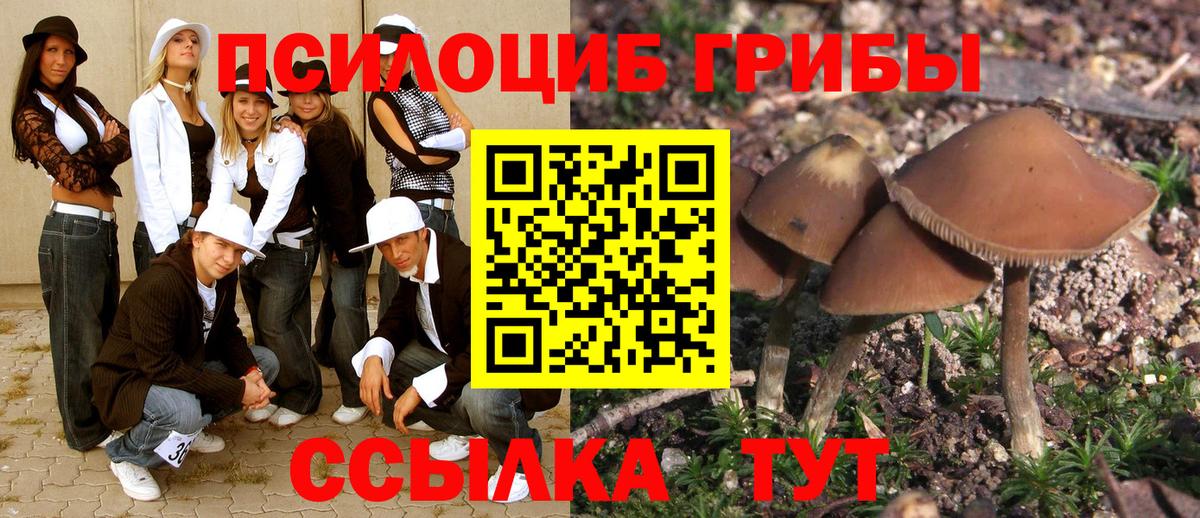 Галлюциногенные грибы MAGIC MUSHROOMS Златоуст