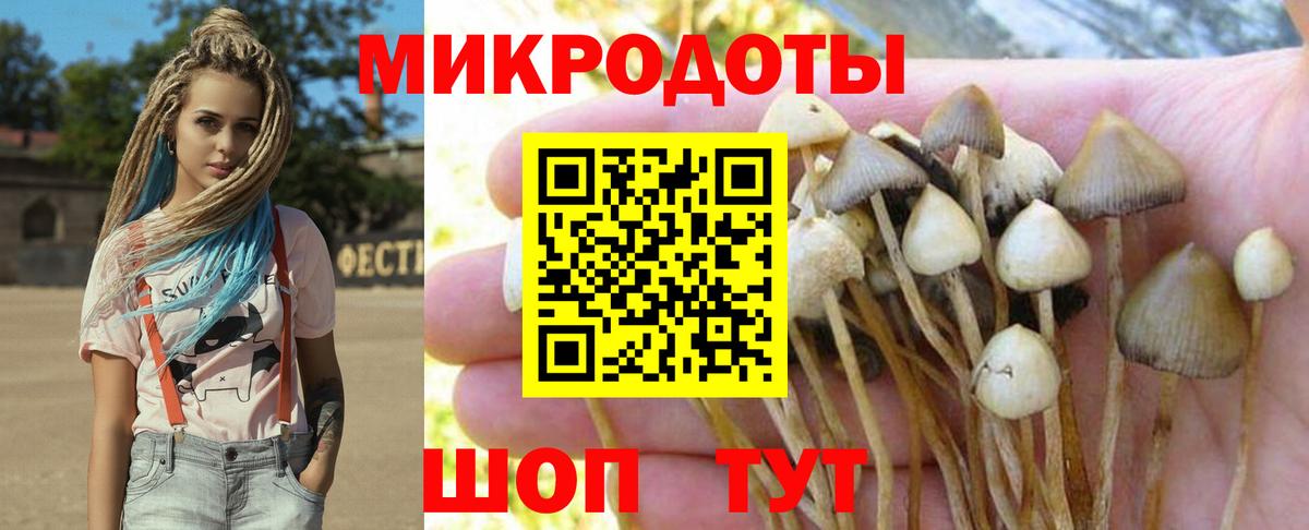 Псилоцибиновые грибы Psilocybe Златоуст