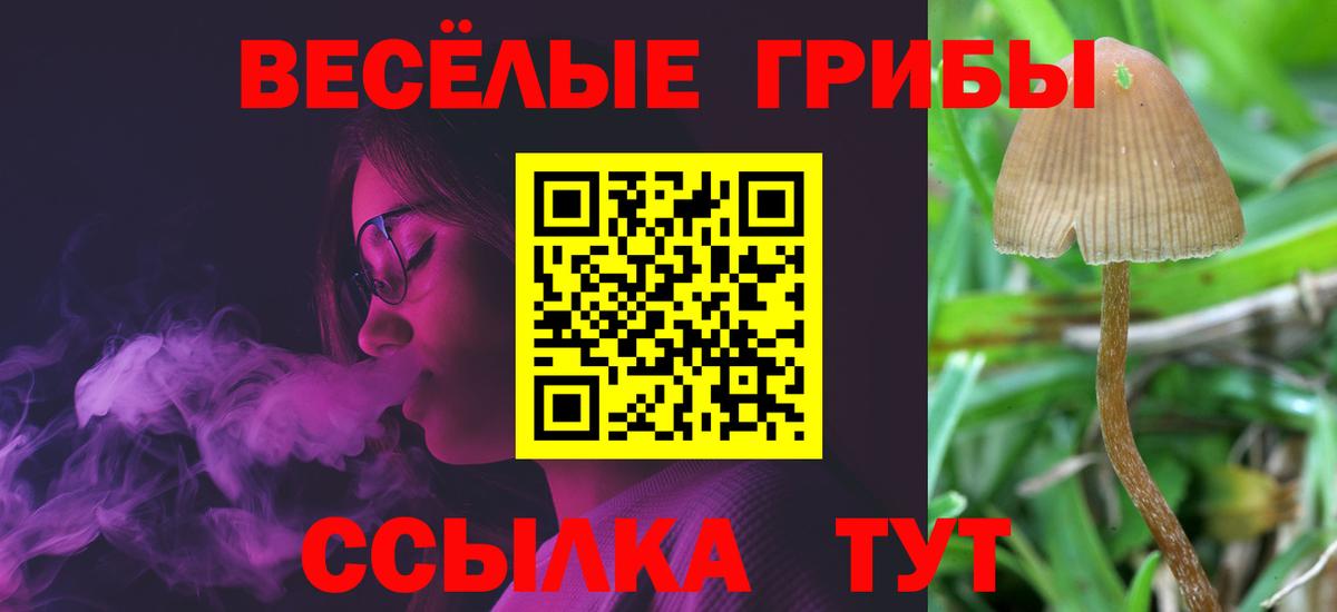 Псилоцибиновые грибы MAGIC MUSHROOMS  Златоуст 